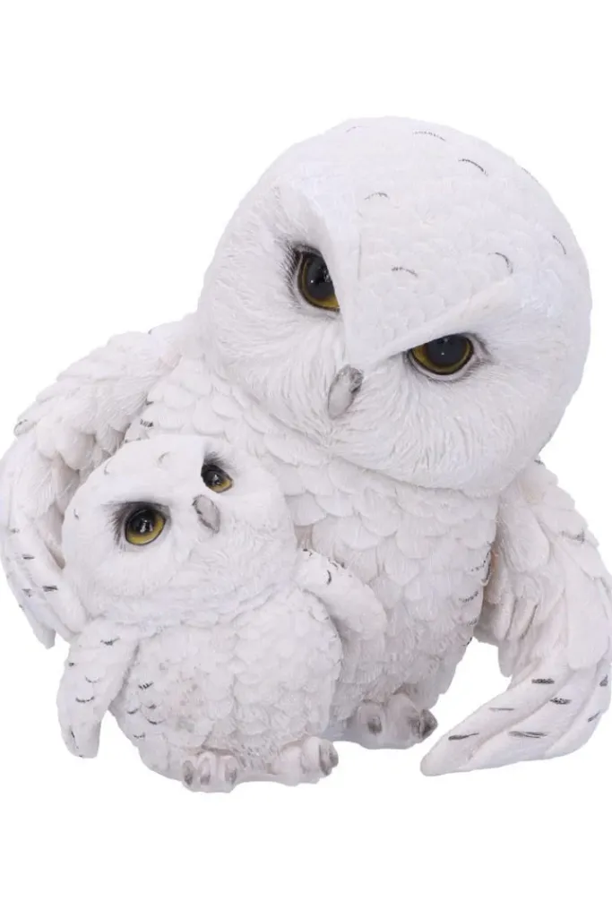 Nemesis Now Feathered Guide Owls