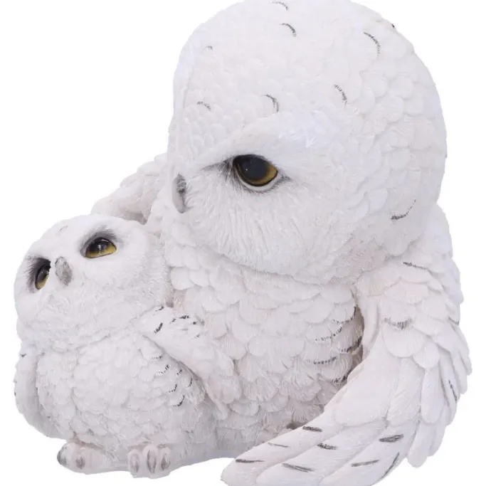 Nemesis Now Feathered Guide Owls