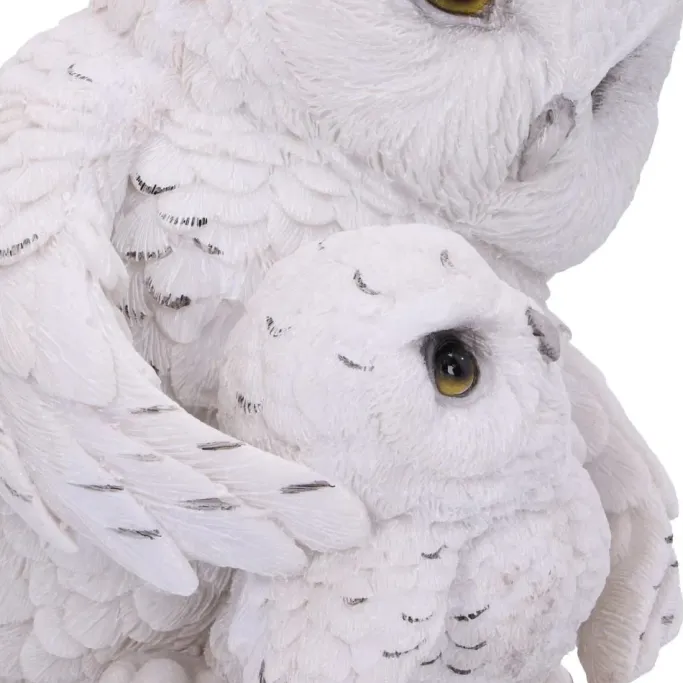 Nemesis Now Feathered Guide Owls