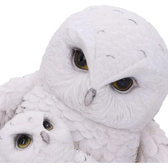 Nemesis Now Feathered Guide Owls
