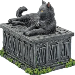 Nemesis Now Fortune's Watcher Tarot Box