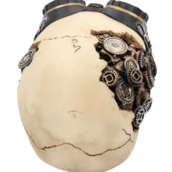 Nemesis Now Goggles Steampunk Skull