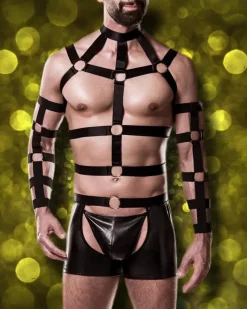 Grey Velvet Mens Harness Set