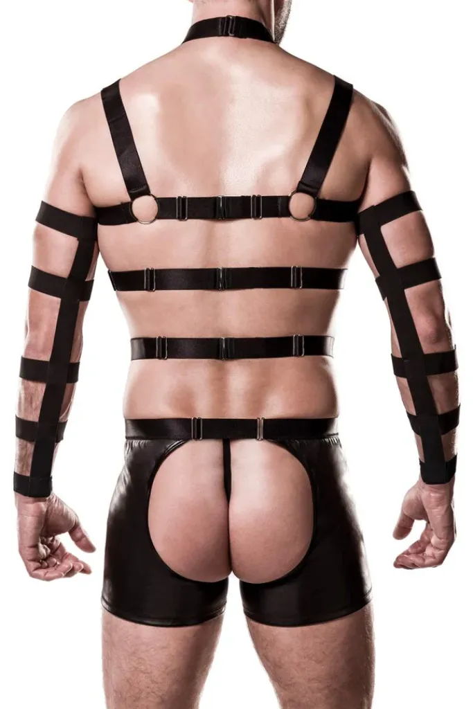Grey Velvet Mens Harness Set