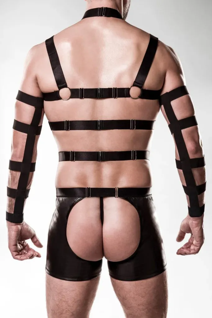 Grey Velvet Mens Harness Set