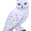 Nemesis Now Harry Potter Hedwig's Rest Christmas Ornament