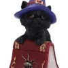 Nemesis Now Hocus Cat Figurine