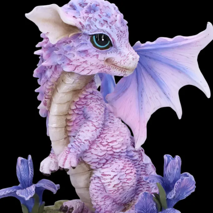 Nemesis Now Iris Flower Dragon Figurine