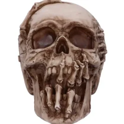 Nemesis Now James Ryman Breaking Out Skull