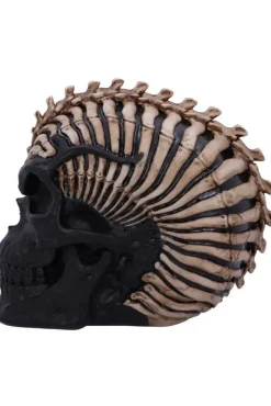 Nemesis Now James Ryman Spine Head Skull