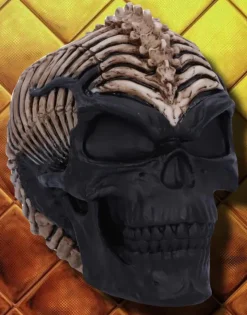 Nemesis Now James Ryman Spine Head Skull