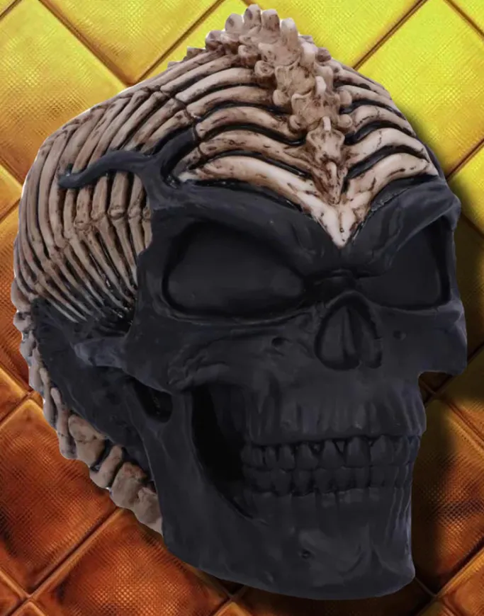 Nemesis Now James Ryman Spine Head Skull