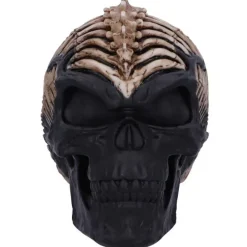 Nemesis Now James Ryman Spine Head Skull