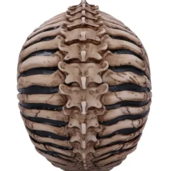 Nemesis Now James Ryman Spine Head Skull
