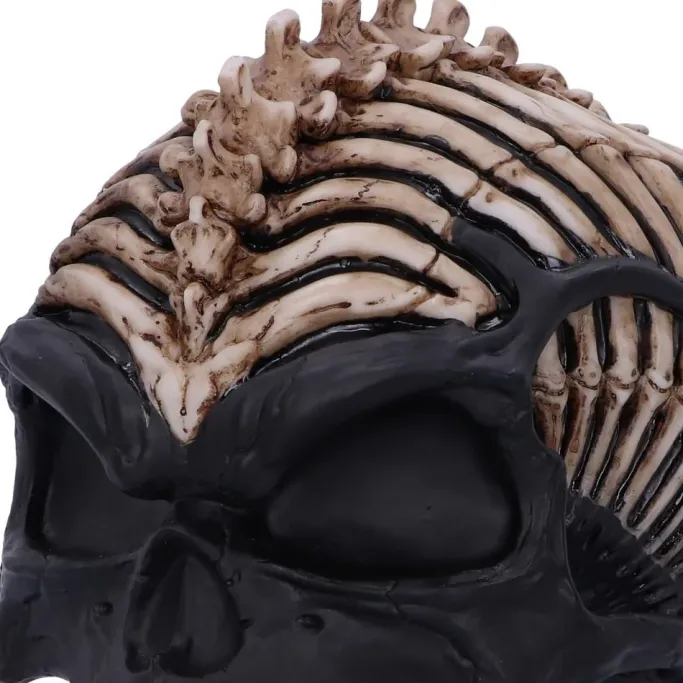 Nemesis Now James Ryman Spine Head Skull