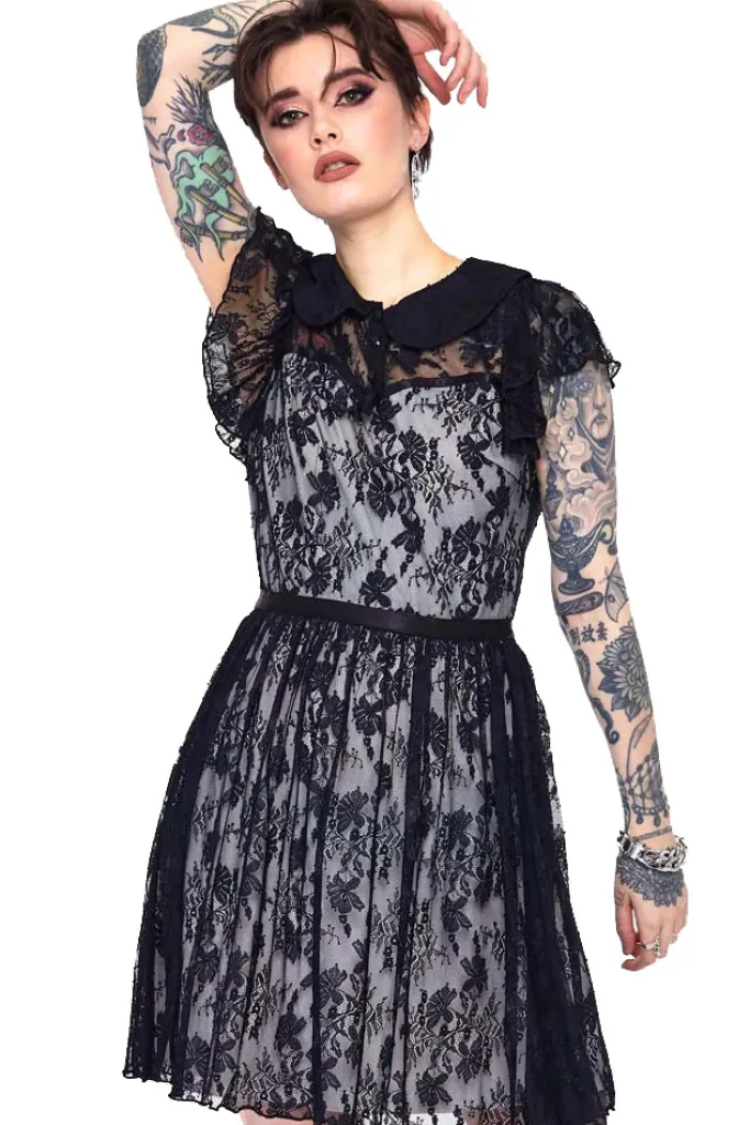 Jawbreaker Lace Overlay Collar Dress