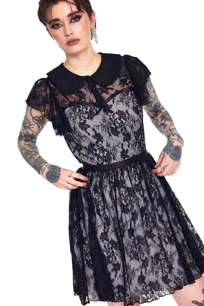 Jawbreaker Lace Overlay Collar Dress