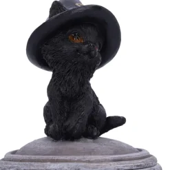 Nemesis Now Kitty's Brew Cat Cauldron Box