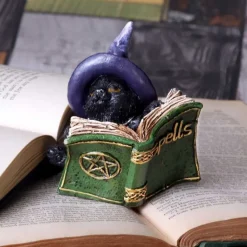 Nemesis Now Kitty's Grimoire Green