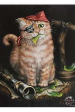 Something Different Linda Jones Pirate Kitten Picture