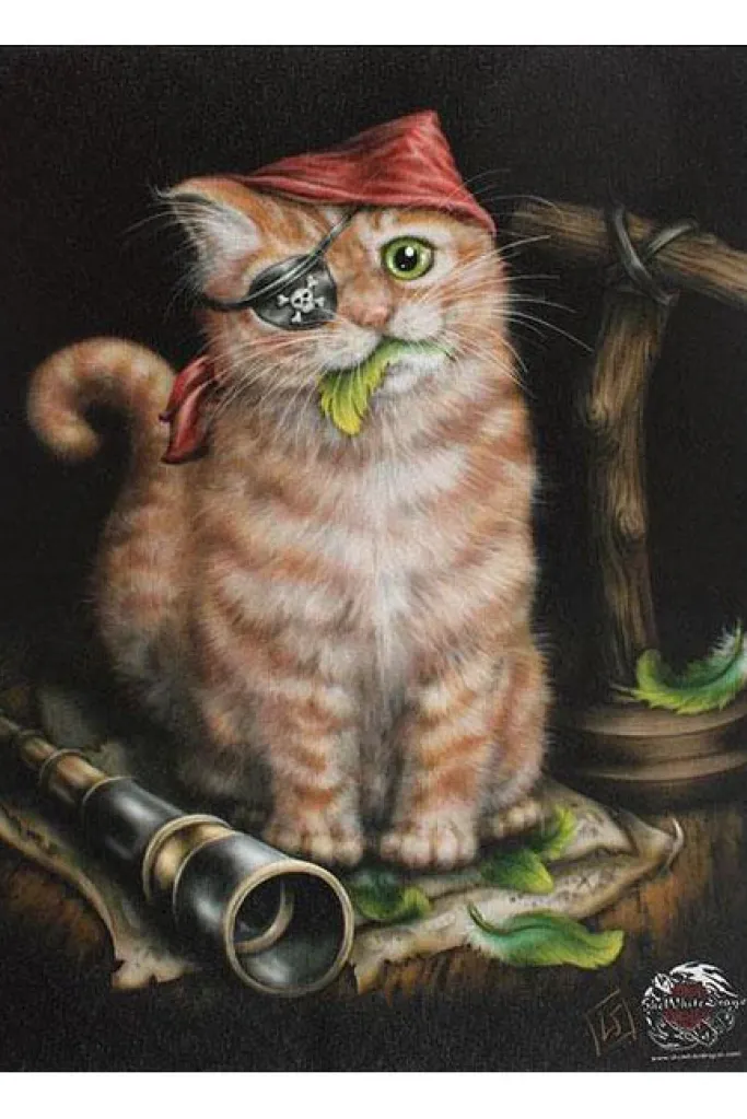 Something Different Linda Jones Pirate Kitten Picture