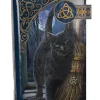 Nemesis Now Lisa Parker A Brush With Magick Embossed Purse