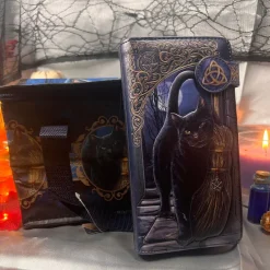 Nemesis Now Lisa Parker A Brush With Magick Embossed Purse