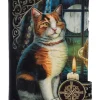 Nemesis Now Lisa Parker Adventure Awaits Calico Embossed Purse