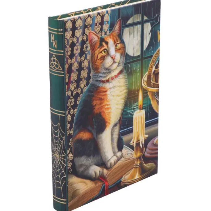 Nemesis Now Lisa Parker Adventure Awaits Journal