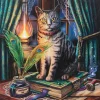 Something Different Lisa Parker Book of Shadows Light Up Picture