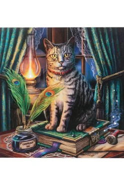 Something Different Lisa Parker Book of Shadows Light Up Picture