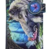 Nemesis Now Lisa Parker Fairy Stories Embossed Purse