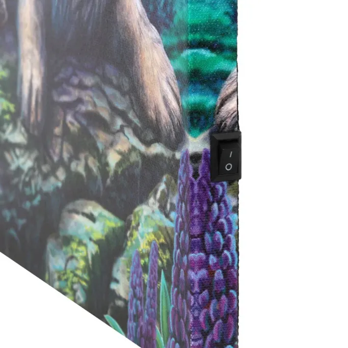 Something Different Lisa Parker Fairy Stories Light Up Picture