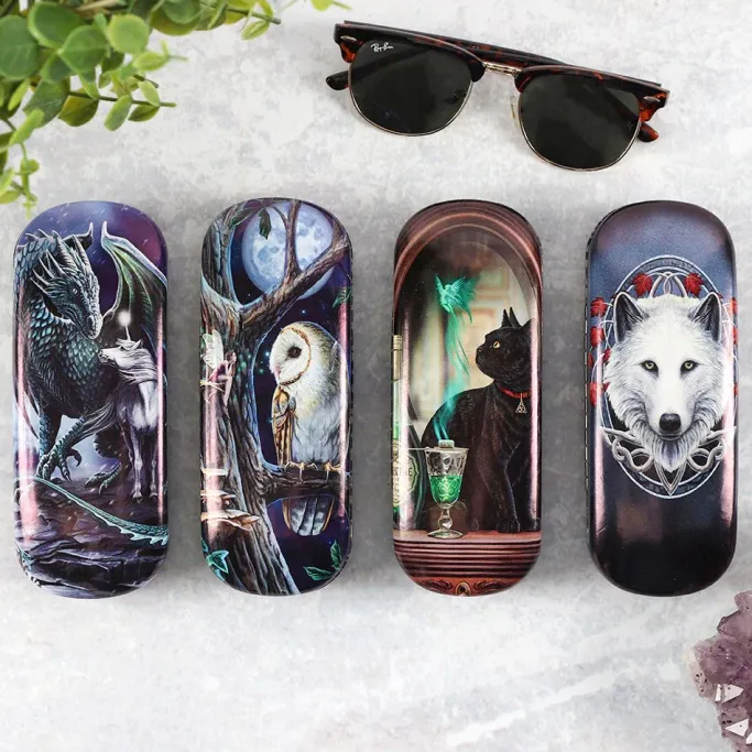Something Different Lisa Parker Fairy Tales Glasses Case