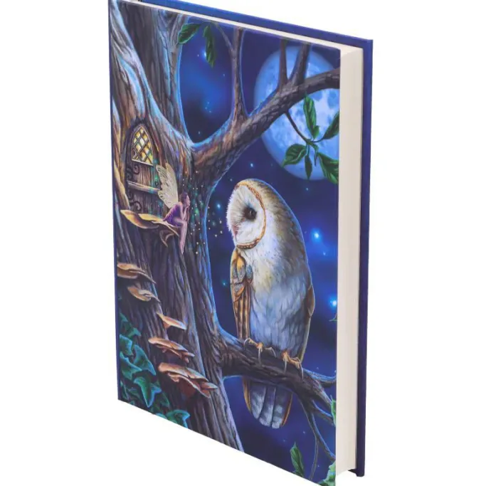 Nemesis Now Lisa Parker Fairy Tales Journal