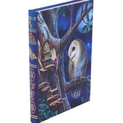 Nemesis Now Lisa Parker Fairy Tales Journal
