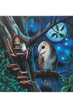 Something Different Lisa Parker Fairy Tales Light Up Picture