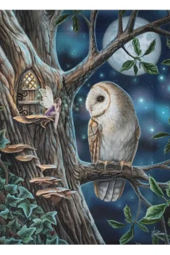 Something Different Lisa Parker Fairy Tales Picture