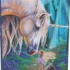 Nemesis Now Lisa Parker Fairy Whispers Journal