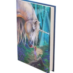 Nemesis Now Lisa Parker Fairy Whispers Journal