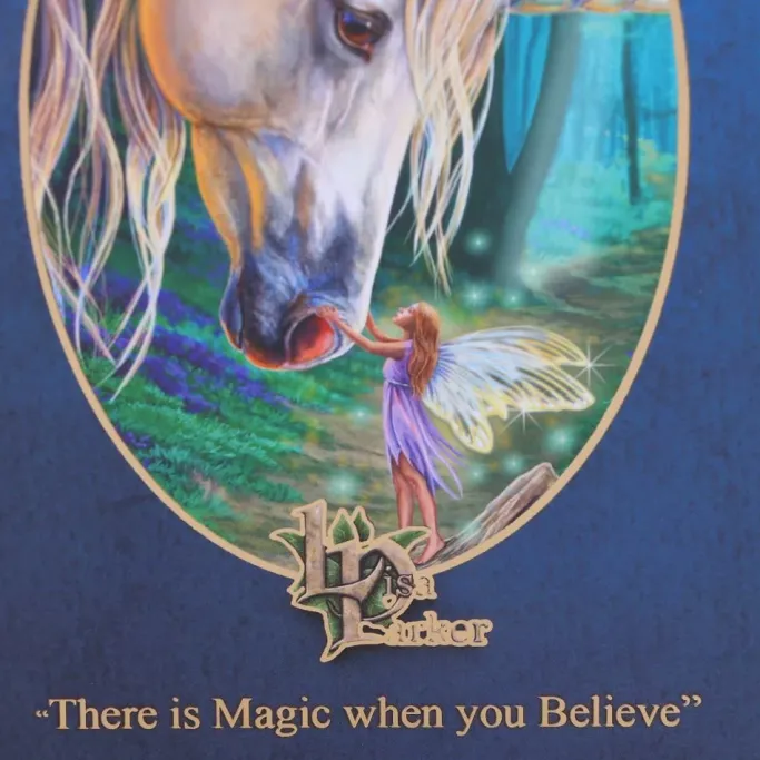 Nemesis Now Lisa Parker Fairy Whispers Journal
