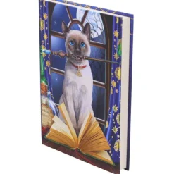 Nemesis Now Lisa Parker Hocus Pocus Journal