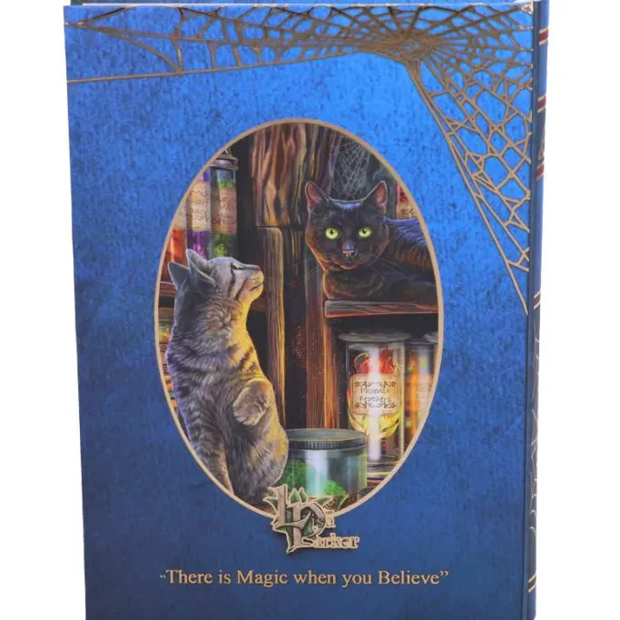 Nemesis Now Lisa Parker Magical Emporium Journal