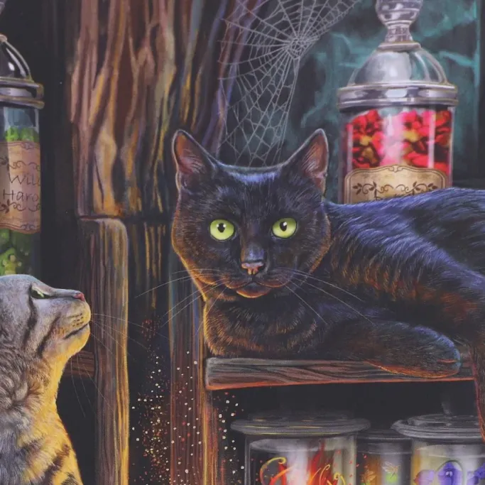 Nemesis Now Lisa Parker Magical Emporium Journal