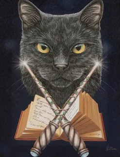 Something Different Lisa Parker Magick Maker Picture
