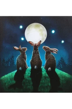 Something Different Lisa Parker Moon Shadows Light Up Picture