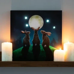 Something Different Lisa Parker Moon Shadows Light Up Picture