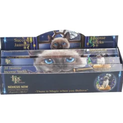 Nemesis Now Lisa Parker Success Incense Sticks Jasmine