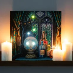 Something Different Lisa Parker The Witches Apprentice Light Up Picture