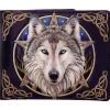 Nemesis Now Lisa Parker Wild One Wallet